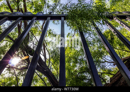 Ein Teil der Grenzzaun entlang der Kante des Campus Laredo's Community College in Laredo, Texas Stockfoto