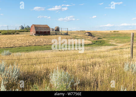 Bauernhof in der Nähe von Orion, Alberta, Kanada Stockfoto