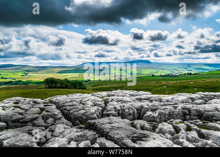 Kalkstein Pflaster. Yorkshire Dales National Park Stockfoto