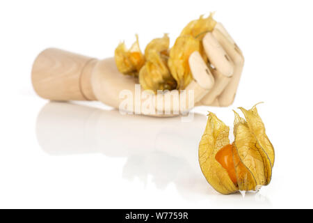 Menge ganze Frische orange Physalis ist man in der Front und der Rest ist in Holz- hand auf weißem Hintergrund Stockfoto