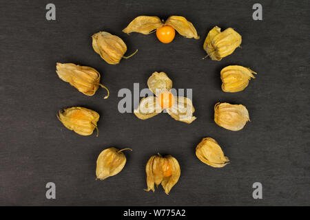 Menge ganze Frische orange Physalis in Mandala flatlay arrangiert auf grauem Stein Stockfoto