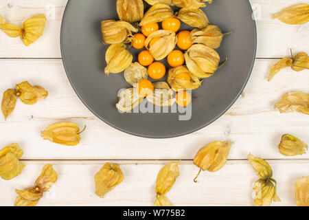 Viele viele Stücke von frischem Orange physalis auf grau Keramikplatte flatlay auf weißem Holz Stockfoto