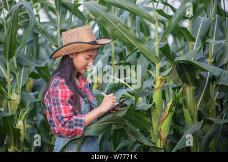 Asias Frauen Agrarwissenschaftler und Einsatz von Technologie für die Kontrolle in den landwirtschaftlichen Maisfeld Landwirt Stockfoto