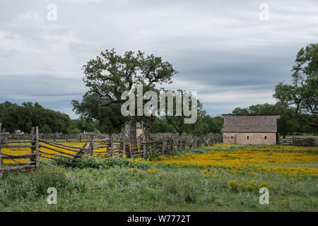 Eine schöne wildflower Array in einer Wiese in Johnson City, Texas, physische Beschreibung: 1 Foto: digital, tiff-Datei, Farbe. Hinweise: Titel, Datum, und die Schlüsselwörter, die auf Informationen der Fotograf.; Geschenk; Die lyda Hill Foundation; 2014; (DLC/PP 2014: 054).; Teil: Lyda Hill Texas Sammlung von Fotografien in Carol M. Highsmith ist Amerika Projekt in der Carol M. Highsmith Archiv.; Stockfoto