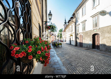 Ljubljana, Slowenien. August 3, 2019. Eine typische alte Straße im historischen Stadtzentrum Stockfoto