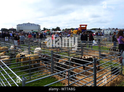 Stranraer, Schottland, Schafhürden am jährlichen zeigen, Juli 2019 Stockfoto