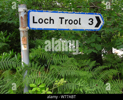 Loch Trool Zentrum Besucher und Waldwege, Schottland - Merrick Trail Anmelden Stockfoto