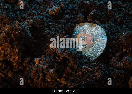 Bergbau crypto Währung - Bitcoin. Online Geld Münze in den Schmutz. Digitale Währung, block Kette Markt, On-line-Geschäft Stockfoto