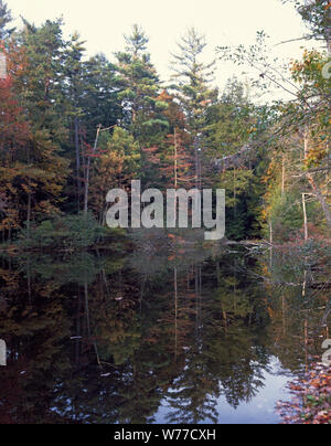 Eine heitere Teich lockt Besucher und Wanderer auf dem Appalachian Trail, um Pennsylvania Caledonia State Park im nördlichsten Abschnitt der Blue Ridge Mountains, physische Beschreibung: 1 Transparenz: Farbe; 4 x 5 in. oder kleinere Anmerkungen: Titel, Datum, und Schlüsselwörter vom Fotografen zur Verfügung gestellt.; digitale Bild von Carol M. Highsmith ihrem ursprünglichen Film Transparenz zu vertreten; einige Details können zwischen dem Film und den digitalen Bildern abweichen.; ist Teil der Wählt Serie im Carol M. Highsmith Archiv.; Geschenk und kaufen; Carol M. Highsmith; 2011; (DLC/PP 2011: 124).; Stockfoto