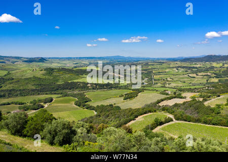 Sanften Hügel der Toskana, Italien, an einem sonnigen Sommertag. Felder und Bäume decken die üppige Landschaft. Stockfoto