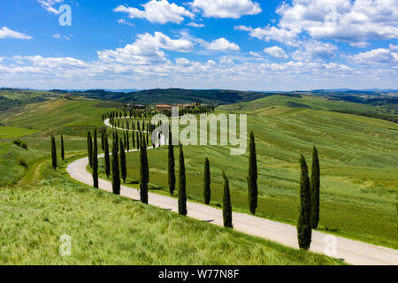 Sanften Hügel der Toskana, Italien, an einem sonnigen Sommertag. Zypressen Linie eine unbefestigte Straße, die in Richtung einer kleinen Ansammlung von Häusern tief in die Zählung Stockfoto