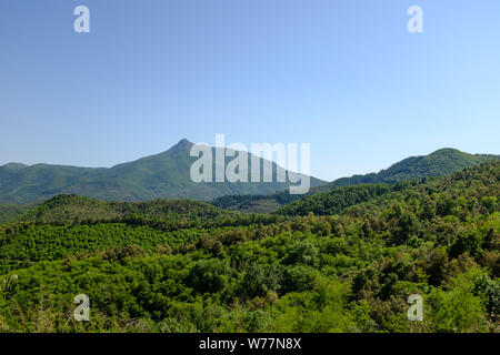 Grüne Berglandschaft auf einem blauen Sommerhimmel in Pyrenäen, Katalonien Stockfoto