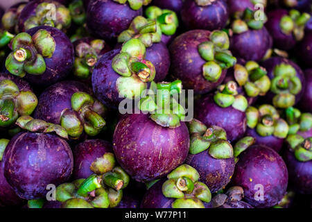 Gefüllte Rahmen von frisch gepflückte Bio Mangostan Frucht, auch bekannt als Garcinia mangostana. Diese Frucht hat reichlich Antioxidans. Stockfoto