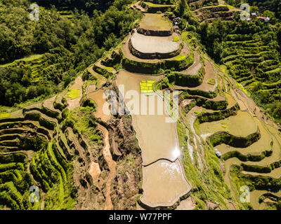 Antenne drone Blick auf den berühmten Banaue Rice Terraces in den nördlichen Philippinen Stockfoto