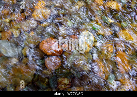 CA 03435-00 ... Kalifornien - Abstraktes Bild der Creek im Fern Canyon, Prairie Creek Redwoods State Park. Stockfoto