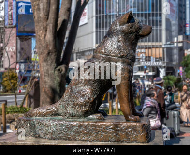 Hachiko Memorial Statue außerhalb vom Bahnhof Shibuya in Hachiko Square, Shibuya, Tokio, Japan. Stockfoto