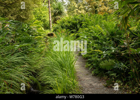 Der Fluss Garden Fußweg zwischen Sträuchern im Muckross House and Gardens Botanical Paradise im Killarney National Park, County Kerry, Irland Stockfoto