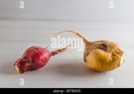 Hässliche Rettich Essen auf weißem Hintergrund Stockfoto