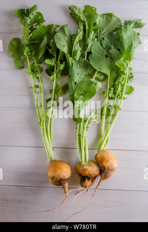 Hässliche Rettich Essen auf weißem Hintergrund Stockfoto