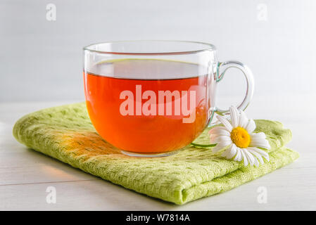 Frischen schwarzen Tee in einem transparenten Becher vor einem weißen Hintergrund Stockfoto