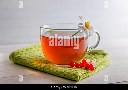 Frischen schwarzen Tee in einem transparenten Becher vor einem weißen Hintergrund Stockfoto