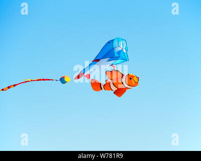 Mehrfarbige fisch Drachen über einen Port Aransas, Texas USA Strand fliegen. Stockfoto