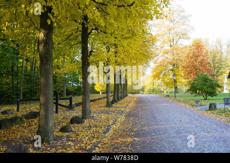 Straße durch einen Herbstwald in Kopenhagen Stockfoto