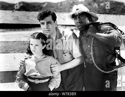 MARY RUTH, JACK LA RUE, CLARENCE MUSE, HERR AUS DIXIE, 1941 Stockfoto