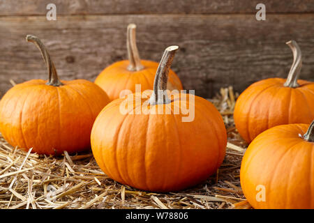 Orange Halloween Kürbisse auf Stapel von Heu oder Stroh Stockfoto