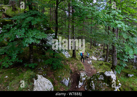 Mutter und Sohn (9-10) Wandern im Wald auf Trail im Soca tal Soca, Slowenien, Europa Stockfoto