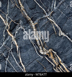 Natur Foto von Marine Geologie, zufälligen Muster, Struktur, Form, mit einer dezenten Farbe Paletten in einem halb abstrakten Stil auf die Cardigan Bay Wa Stockfoto