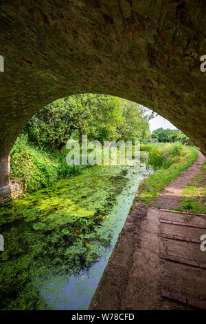 Der Blick durch die Wildmoorway Kanalbrücke auf der stillgelegten Themse und Severn Canal in der Cotswold Water Park, England Stockfoto