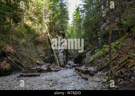 Wanderweg über den Fluss im Slowakischen Paradies Nationalpark, Slowakei Stockfoto