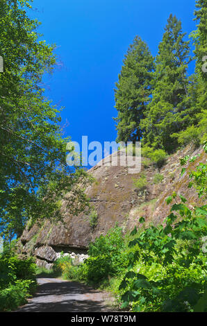 Oder: Douglas County, Coast Range, Camp Creek (BLM); Socke Creek Road unter freiliegenden Klippen an der Oberseite der Socke Creek Canyon verläuft. Stockfoto