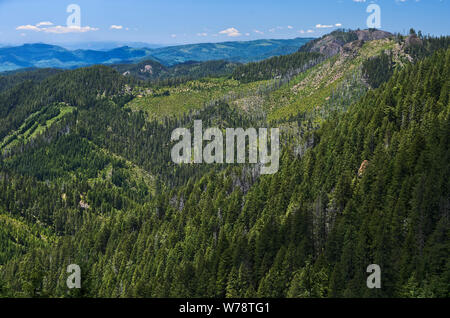 Oder: Douglas County, Cascades, North Umpqua Valley, Quartz Mountain. Blick vom FS 27, weil er die Röcke Quartz Mountain in der Umpqua National Forest Stockfoto