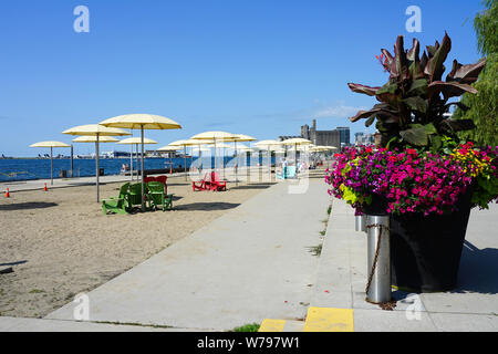Hafen - Front in Toronto, Ontario, Kanada, Nordamerika, Urlaubsparadies in einer sehr sicheren und sauberen Stadt Stockfoto