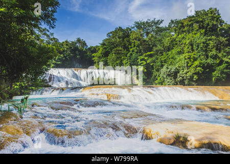 Detail der Wasserfälle von Cascadas de Agua Azul im Bundesstaat Chiapas in Mexiko Stockfoto