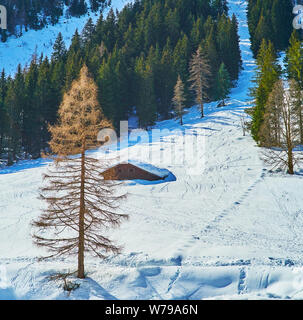 Die verschneite Piste von Donnerkogl Berg mit Blick auf Nadelwald und kleines Holzhaus, unter tiefem Schnee, Gosau, Österreich Stockfoto