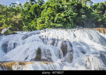 Detail der Wasserfälle von Cascadas de Agua Azul im Bundesstaat Chiapas in Mexiko Stockfoto