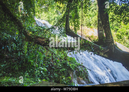 Detail der Wasserfälle von Cascadas de Agua Azul im Bundesstaat Chiapas in Mexiko Stockfoto