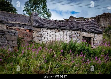 Verlassenen baufälligen Gebäude aus Stein, Hütte/Haus und die Nebengebäude auf der High Peak Trail in der Nähe von harboro Felsen, Brassington, Peak District. Derbyshire. DE Stockfoto