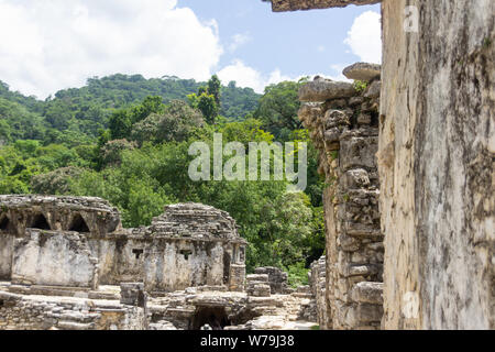 Palenque, Chiapas/Mexiko - 21/07/2019: Detail der archäologischen Pre hispanic Maya Stätte von Palenque in Chiapas, Mexiko Stockfoto