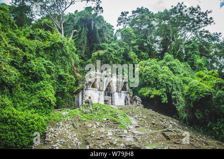 Palenque, Chiapas/Mexiko - 21/07/2019: Detail der archäologischen Pre hispanic Maya Stätte von Palenque in Chiapas, Mexiko Stockfoto