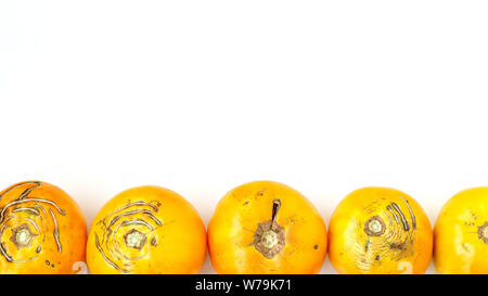 Trendy große hässliche Organische gelbe Tomaten auf weißem Hintergrund, Kopieren, horizontale Ausrichtung Stockfoto