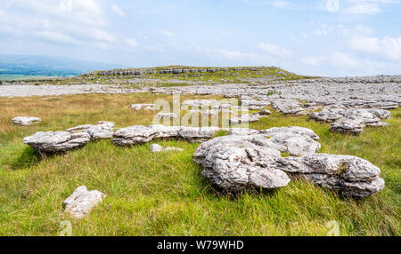 Auf der Suche nach Bereichen von Kalkstein Plasterung auf Great Asby Narbe an den ehemaligen Eisernen Siedlung von Schloss Falten auf der angehobenen Plateaus - Cumbria GROSSBRITANNIEN Stockfoto