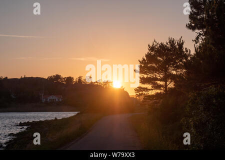 Sonnenuntergang im Hochsommer Stockfoto