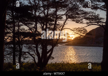 Sonnenuntergang im Hochsommer Stockfoto