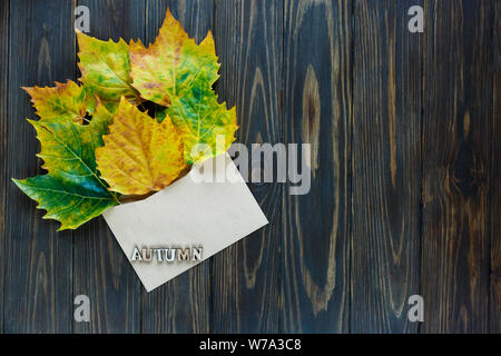 Geöffnet Papier Umschlag auf alten, braunen Holz- Hintergrund mit gelben Blättern. Vintage Stil der Kommunikation. Stockfoto