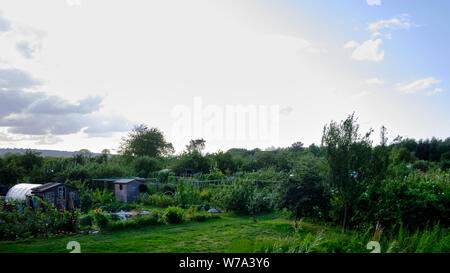 Trap Boden Zuteilung mit Burgess Feld Naturschutzgebiet dahinter, Oxford Stockfoto