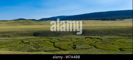 Landschaft Panorama mit einem Stream durch Wiesen und Prairie in offenen ranchland in der Nähe von Pagosa Springs, Colorado geschwungene Stockfoto